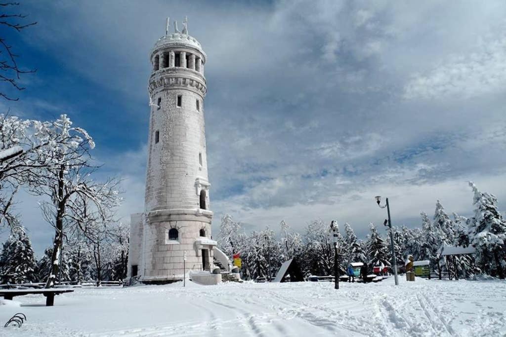 Апартаменты U Podnoza Gor Sowich Пешице Экстерьер фото