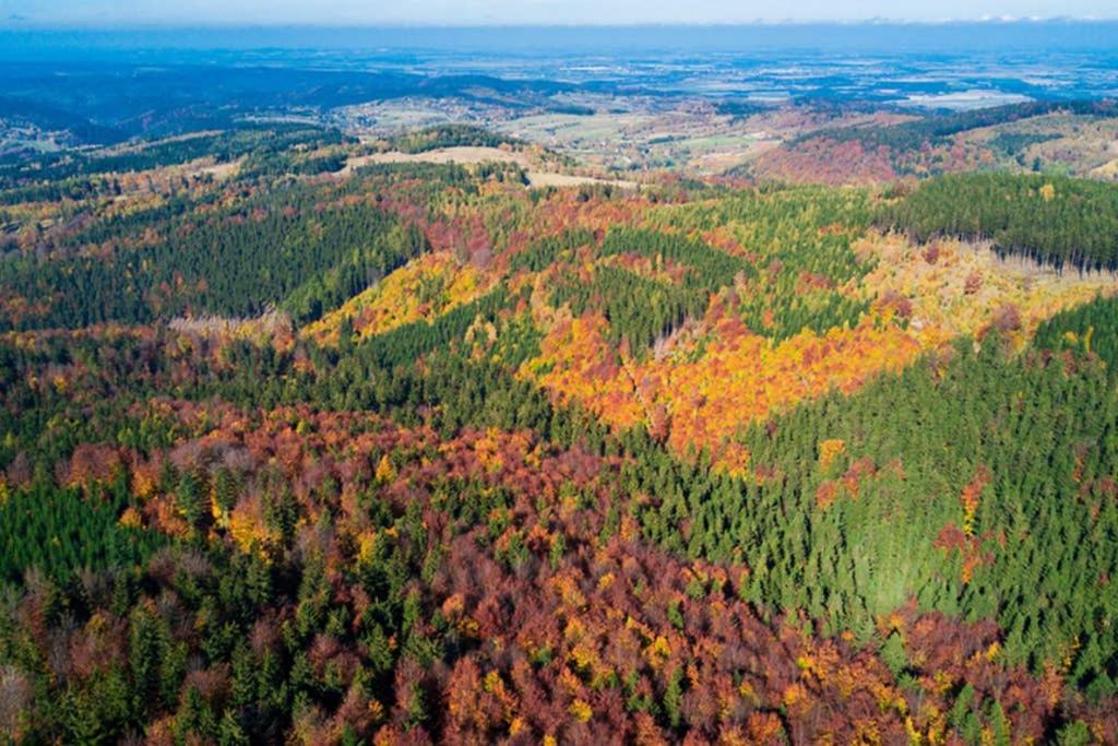 Апартаменты U Podnoza Gor Sowich Пешице Экстерьер фото